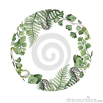 Watercolor wreath with different ferns Stock Photo