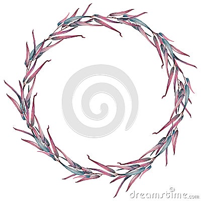 Watercolor wreath of pink, gray and blue eucalyptus branches. Stock Photo