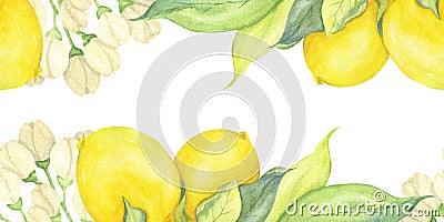 Watercolor yellow lemons, flowers and green leaves Stock Photo