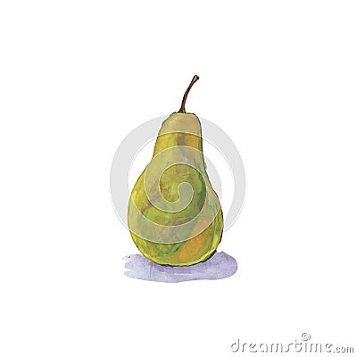 watercolor yellow pear fruit whole Cartoon Illustration