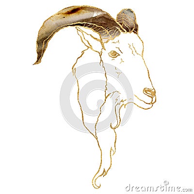 Watercolor zodiak sign capricorn. Hand painted abstract card isolated on white background. Minimalistic gold linear Cartoon Illustration