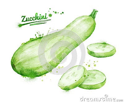 Watercolor zucchini Cartoon Illustration