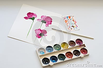 Watercolors, brush and painting of beautiful pink flowers on white background, artistic workplace Stock Photo