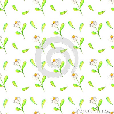 Watercolors draw a spring seamless pattern on a white background consisting of daisies and leaves. Stock Photo