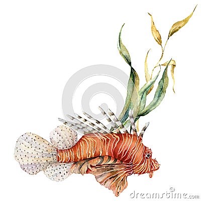 Watercolorv lionfish composition. Hand painted underwater illustration with laminaria and coral reef isolated on white Cartoon Illustration