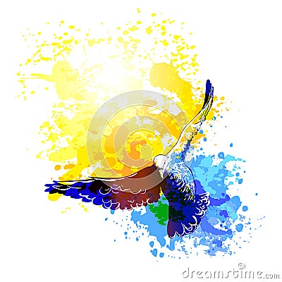 Watercolour doves birds flying, colourful vector painting. Birds flight Vector Illustration