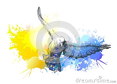 Watercolour doves birds flying, colourful vector painting. Birds flight Vector Illustration