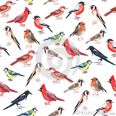 Watercolour hand painted seamless pattern with colourful birds. Stock Photo