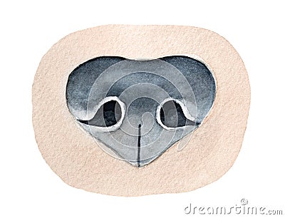 Watercolour illustration of Dog Nose Snoup. Symbol of sense of smell, scent, intuition, investigation, research, rescue. Stock Photo