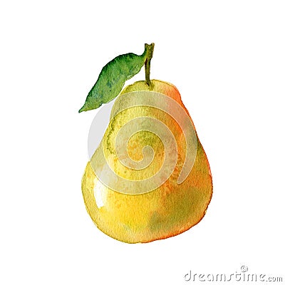 Watercolour pear illustration. Hand drawn sweet pear. Fresh fruit. Bright and fresh illustration. Watercolor botanical Cartoon Illustration