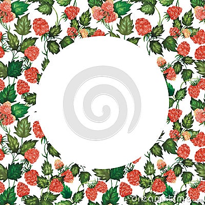 Watercolour raspberry round frame with berries, leaves hand drawn isolated on white. For product design, invitation Stock Photo