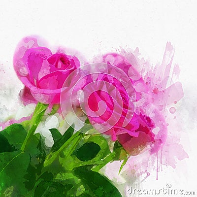 Watercolour roses Vector Illustration