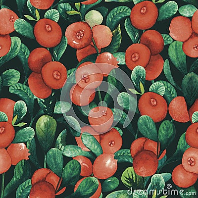 Watercolour seamless cranberry cowberry pattern with berries and leaves hand drawn illustration isolated on black. red Cartoon Illustration