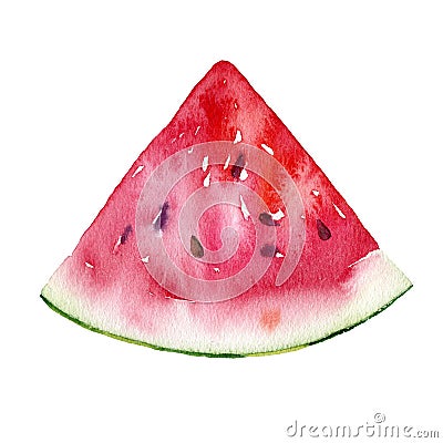 Watercolour watermelon illustration. Hand drawn watermelon slice. Fresh watermelon. Bright and fresh illustration Cartoon Illustration