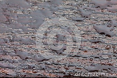 Waterdrop on wooden floor during rain Stock Photo