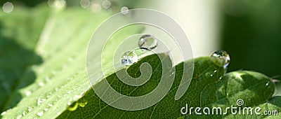 Waterdrops Stock Photo