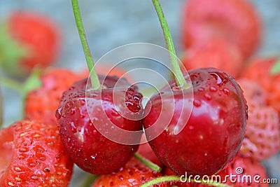 waterdrops on a sweet cherries Stock Photo