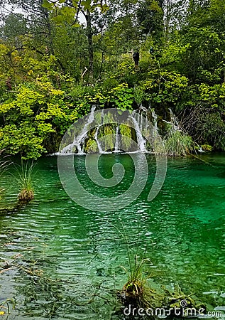 Waterfal lake pond forest grass trees Stock Photo