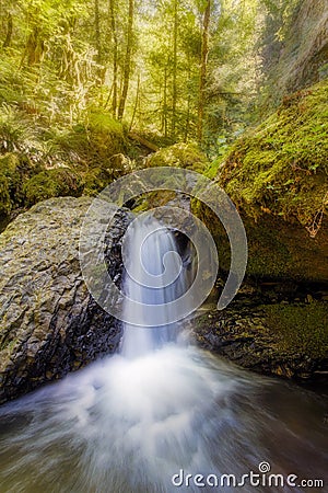 Waterfall along Gorton Creek in the Afternoon in Oregon Stock Photo