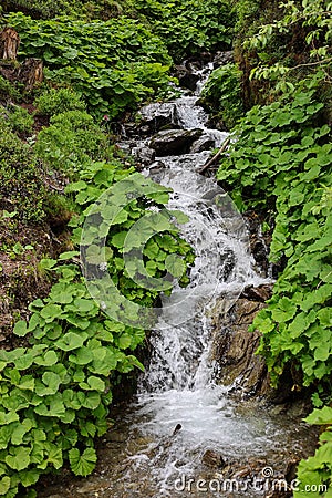 Waterfall alpino Stock Photo