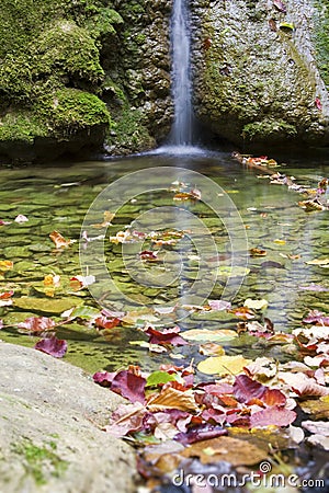 Waterfall and autumn colours Stock Photo