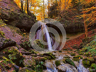 Waterfall in autumn with orange and yellow colors. Running clear, cold water in a forrest during autumn Stock Photo