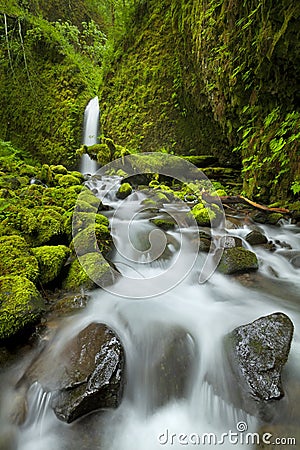 Waterfall in the Columbia River Gorge, Oregon, USA Stock Photo