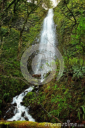 Waterfall in the Columbia River Gorge, in Oregon, USA Stock Photo