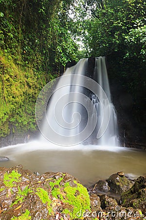 Waterfall in costa rica forest Stock Photo