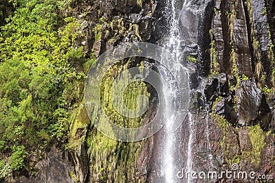 Waterfall Detail with Rock and Plants Stock Photo