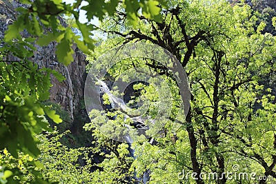 Waterfall falling behind the trees. Waterfall Toxa, Galicia, Spain. Stock Photo