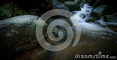 Waterfall is flowing in jungle. Waterfall in green forest. Mountain waterfall. Cascading stream in lush forest. Nature background Stock Photo