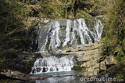 Waterfall flowing in jungle wilderness Stock Photo