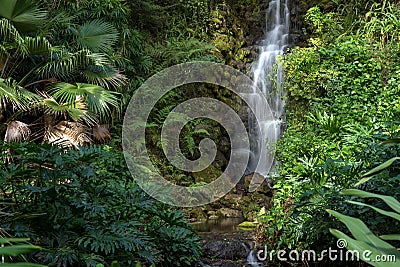 Waterfall flowing from lush forest Stock Photo