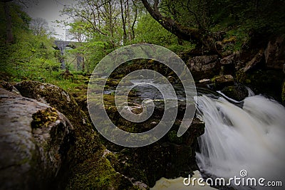 Waterfall in Forest Stock Photo