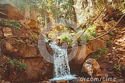 Waterfall in the forest Stock Photo