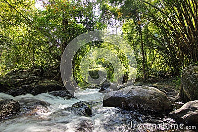 Waterfall in forest Stock Photo