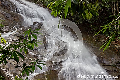 Waterfall forest stones stream jungle Stock Photo