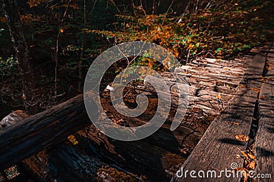 A waterfall in a forest Stock Photo