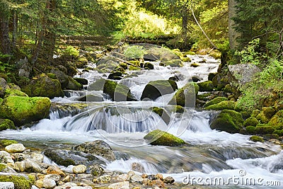 Waterfall in the forest of Zakopane, Poland Stock Photo