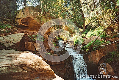 Waterfall in the forest Stock Photo