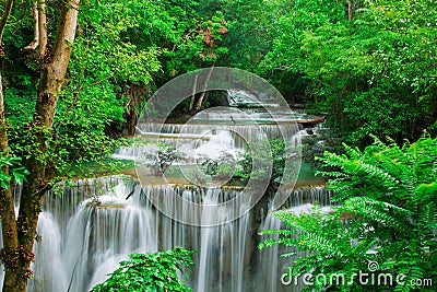 Waterfall in fresh green forest Stock Photo