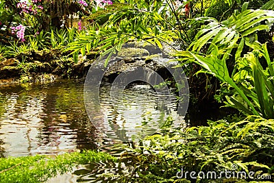 Waterfall in garden design. Stock Photo