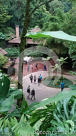 Waterfall gardens Editorial Stock Photo