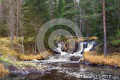 Waterfall green forest river stream landscape Stock Photo