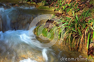 Waterfall and green grass, Sochi, Russia Stock Photo