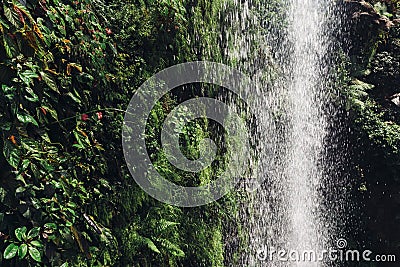 Waterfall, Green leaves background. Natural tropical backdrop nature forest Stock Photo