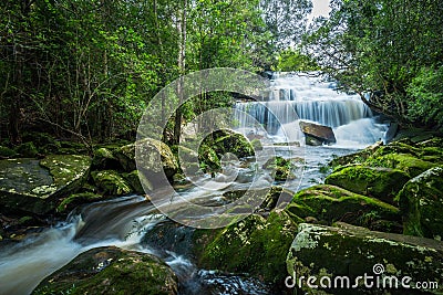 Waterfall with green moss in the tropical rainforest landscape Stock Photo