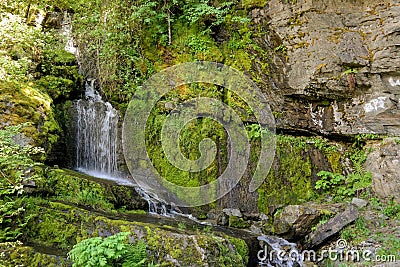 Waterfall And Green Mossy Rocks Stock Photo