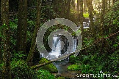 Waterfall with a green path in Alishan National Scenic Area Stock Photo